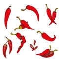 Vector clip art set of chili peppers. isolated Red vegetables on white background Royalty Free Stock Photo